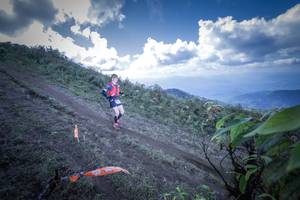 BIB: 5105, 
                            <button type="button" onclick="openModal(15955281)" class="btn btn-primary btn-sm float-right btn-popup" data-toggle="modal" data-target=".modal-high-quality">
                        <i class="fas fa-shopping-cart"></i> Add to Cart
                    </button>
                                            <button type="button" onclick="isThisMe(15955281, true)" class="btn btn-success btn-sm float-right btn-popup btn-isme hidden" data-toggle="tooltip" data-placement="bottom" title="นี่คือรูปของคุณใช่ไหม คลิกที่นี่เพื่อเอาเข้าอัลบั้ม">
                        <i class="fas fa-plus"></i> Add to album
                    </button>
                    <button type="button" onclick="isThisMe(15955281, false)" class="btn btn-warning btn-sm float-right btn-popup btn-isnotme hidden">
                        <i class="fas fa-ban"></i> Remove from album
                    </button>